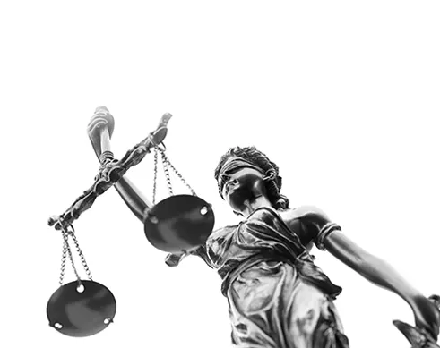 Fundamental rights and freedoms Fundamental rights and freedoms